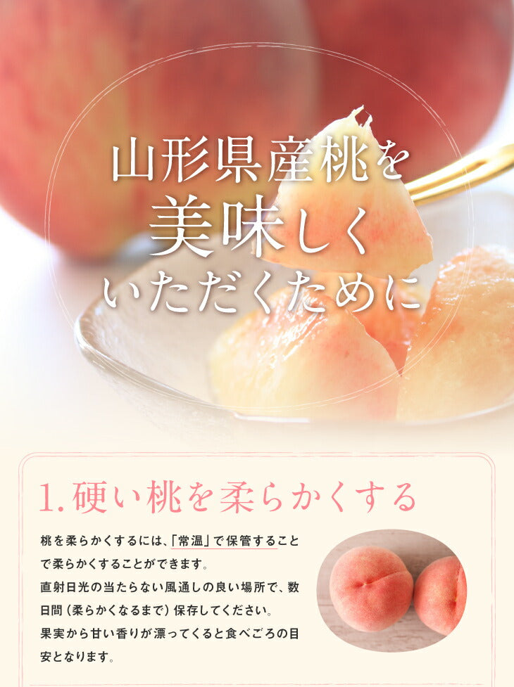 訳あり 桃 送料無料 山形県産 白桃 品種おまかせ約2kg(5玉〜10玉) ※一部地域は別途送料 柔らかい桃 硬い桃 果物　フルーツ【f15】
