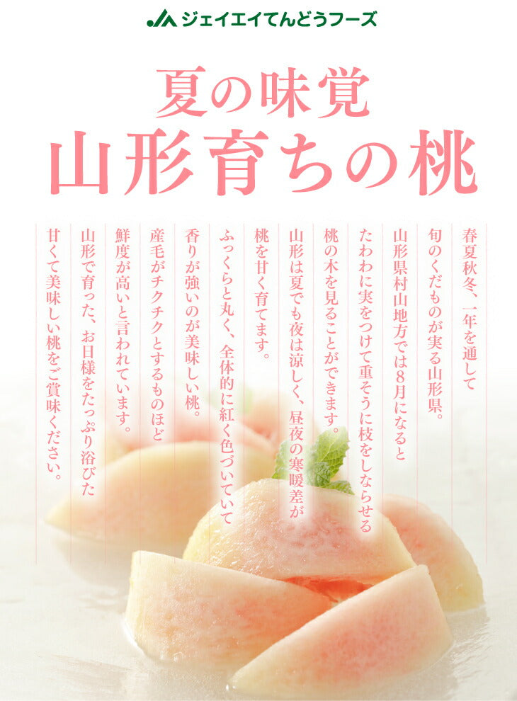 桃 訳あり 山形県産　黄桃品種おまかせ　約2kg(5玉〜10玉) ※一部地域は別途送料 柔らかい桃 硬い桃　果物　フルーツ 黄金桃　送料無料【f16】
