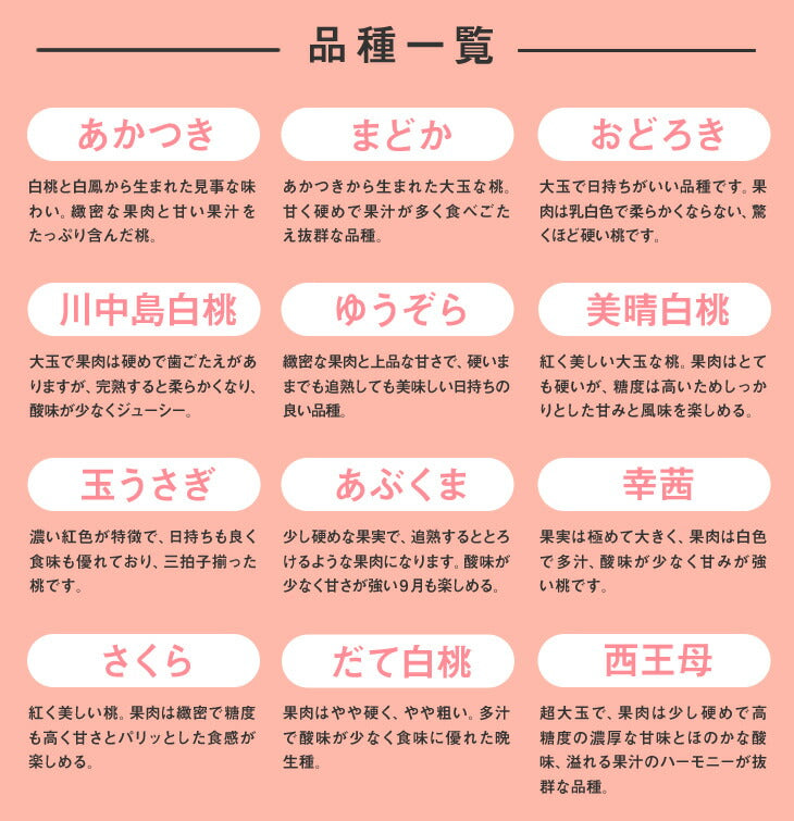 訳あり 桃 送料無料 山形県産 白桃 品種おまかせ約2kg(5玉〜10玉) ※一部地域は別途送料 柔らかい桃 硬い桃 果物　フルーツ【f15】