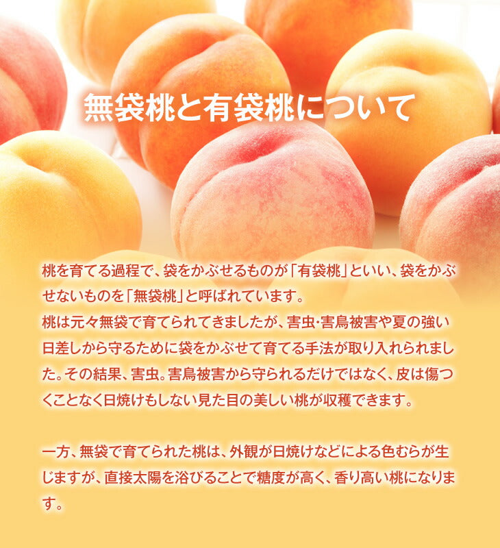桃 訳あり 山形県産　黄桃品種おまかせ　約2kg(5玉〜10玉) ※一部地域は別途送料 柔らかい桃 硬い桃　果物　フルーツ 黄金桃　送料無料【f16】