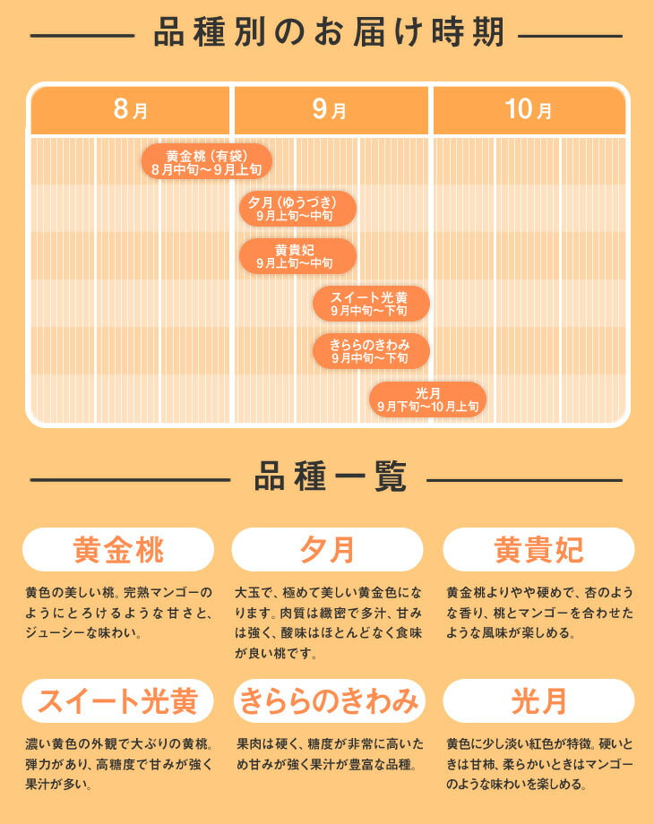 桃 訳あり 山形県産　黄桃品種おまかせ　約2kg(5玉〜10玉) ※一部地域は別途送料 柔らかい桃 硬い桃　果物　フルーツ 黄金桃　送料無料【f16】