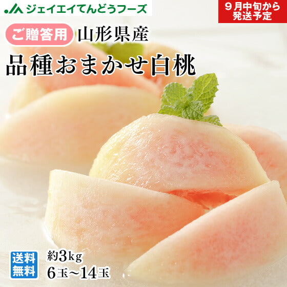 贈答用 秀品 山形県産　白桃 品種おまかせ 約3kg 6〜14玉ギフト 送料無料※一部地域は別途送料 9月中旬〜下旬発送 pc13