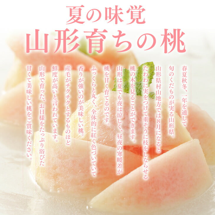 山形県産 白桃 西王母 約2.4kg(玉数おまかせ) ギフト 秀品 一部地域は別途送料追加 pc10