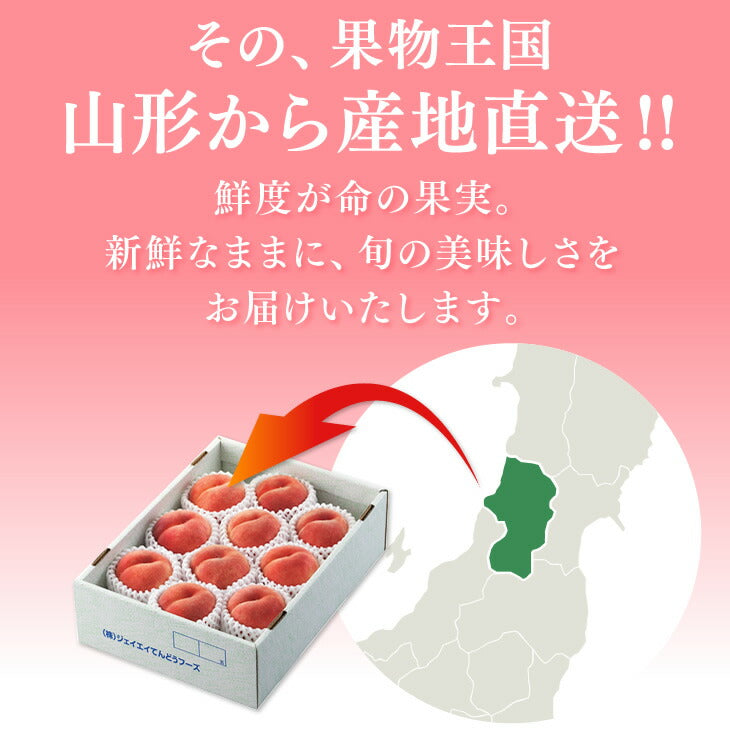 贈答用 秀品 山形県産　白桃 品種おまかせ 約5kg 12〜13玉ギフト 送料無料※一部地域は別途送料 即日出荷