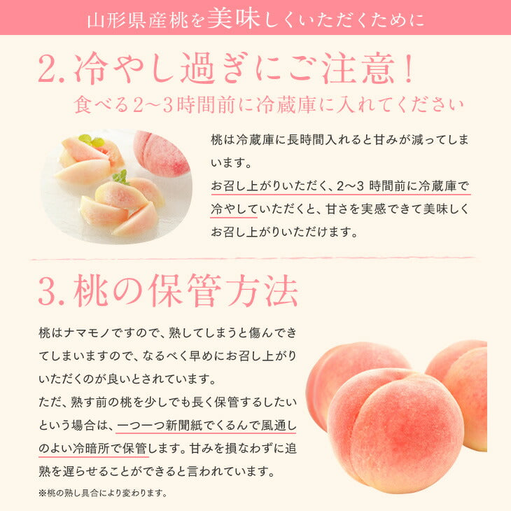 贈答用 秀品 山形県産　白桃 品種おまかせ 約5kg 12〜13玉ギフト 送料無料※一部地域は別途送料 即日出荷