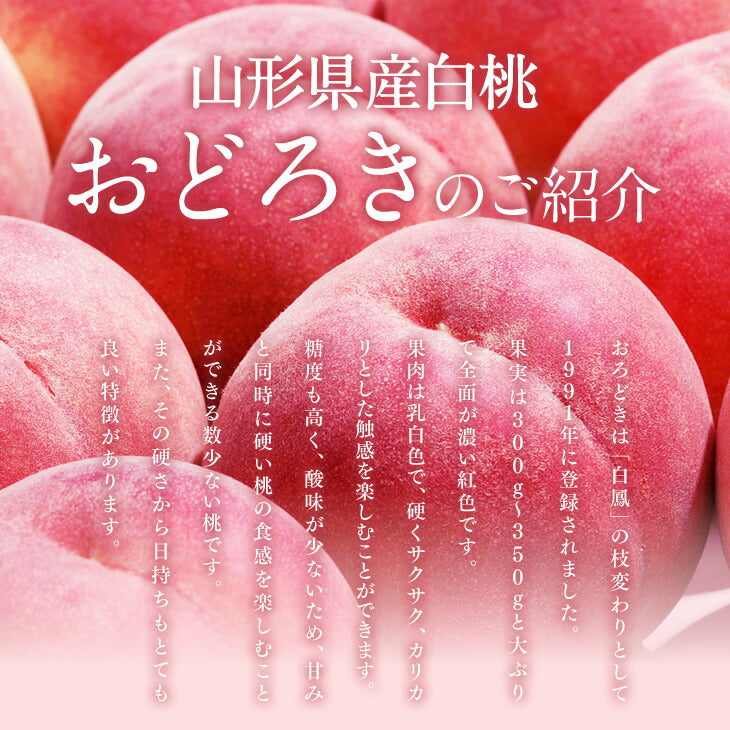 【早期予約】贈答用 山形県産 桃 もも おどろき秀品　5kg（15〜18玉）　pc09