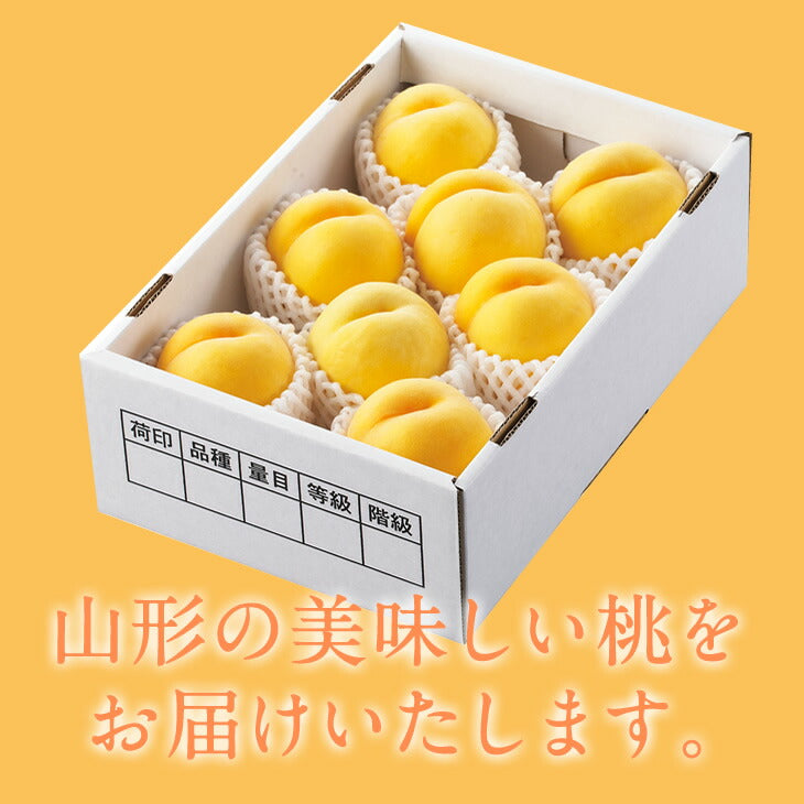 【早期予約】贈答用 山形県産 黄金桃 約3kg(8〜14玉) 秀品 ギフト 一部地域は別途送料追加 pc11