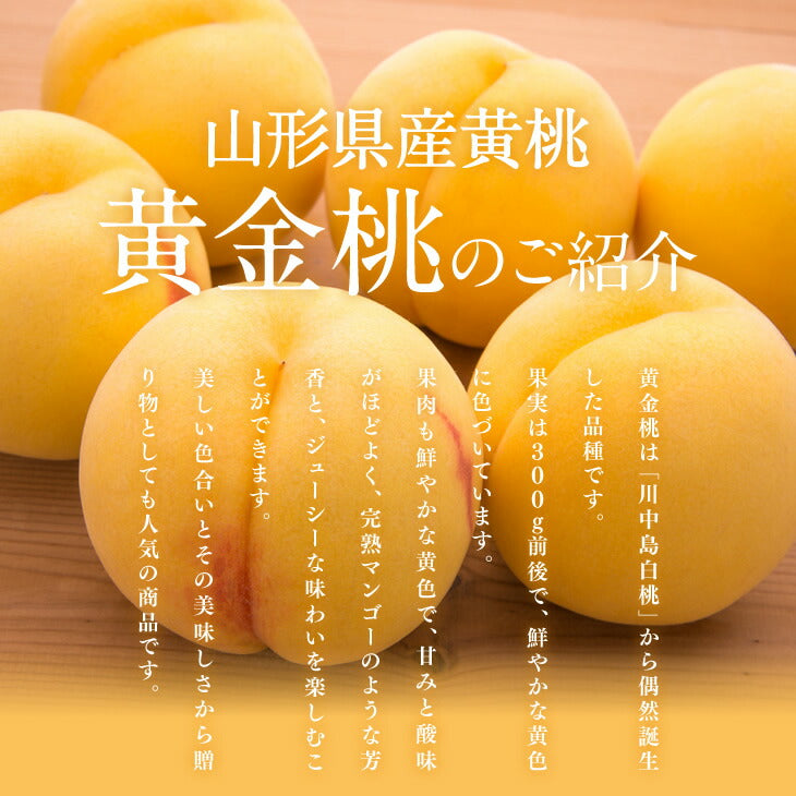 早期予約 贈答用 山形県産 黄金桃 約3kg(8〜14玉) 秀品 ギフト 一部地域は別途送料追加 pc11