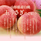 【早期予約】贈答用 秀品 山形県産 白桃 玉うさぎ 約3kg （8〜14玉） 一部地域は別途送料追加 ギフトpc07