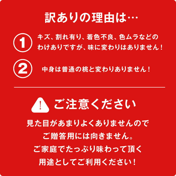 【早期予約】訳あり 山形県産 白桃 品種おまかせ約2kg(玉数おまかせ) ※一部地域は別途送料 ※９月下旬〜10月に出荷予定　pc05