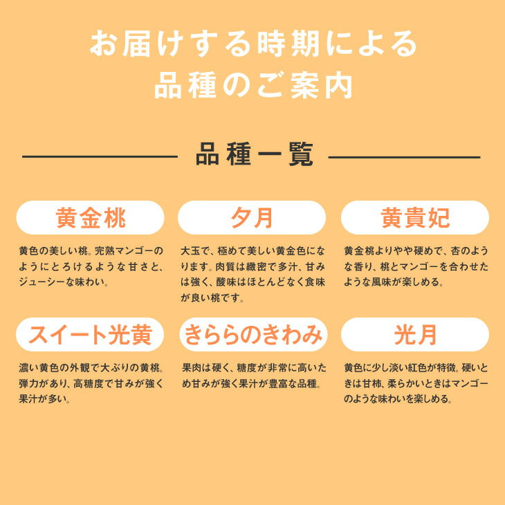 訳あり 山形県産　黄桃品種おまかせ　約2kg(玉数おまかせ) ※一部地域は別途送料果物 ※8月下旬より順次出荷予定 pc06