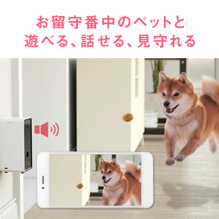 Black トリートディスペンサーカメラ ドッグカメラ petcamera-001