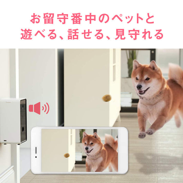 White トリートディスペンサーカメラ ドッグカメラ petcamera-001