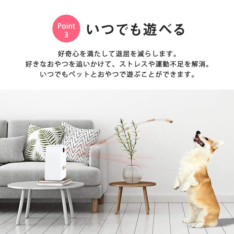 White トリートディスペンサーカメラ ドッグカメラ petcamera-001