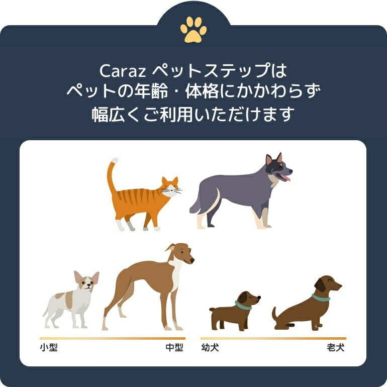 ペットステップ 5段 犬の階段 ドッグステップ 犬 猫 犬用 階段 補助 上り下り 段差解消 脱臼 ケガ防止 ヘルニア シニア犬 介護用品 ペットスロープ ドッグスロープ ペット用 ペット 小型犬 高齢犬 ペットアイテム 【保証付き】