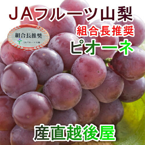 【フルーツ ぶどう ブドウ ハウス栽培】山梨県 ＪＡフルーツ山梨 組合長推奨 種なしピオーネ 最高品質 化粧箱１房入り 約600gＪＡフルーツ山梨から産地直送送料無料【果物 贈答品 ギフト】