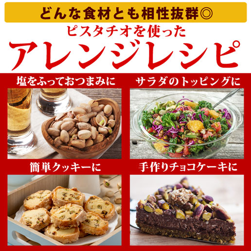 殻付きピスタチオ（無塩） 500g (250g×2)
