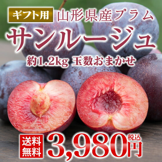 予約商品 贈答用　秀品 山形県産プラム　サンルージュ約1.2kg※一部地域は別途送料追加 pl05