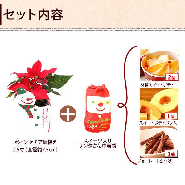【先着10購入限定・67%OFF】クリスマスポインセチアとサンタのスイーツセット