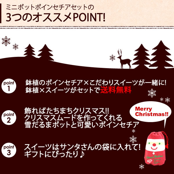 【先着10購入限定・67%OFF】クリスマスポインセチアとサンタのスイーツセット
