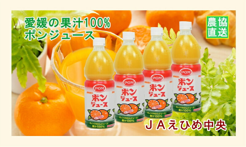 【フルーツ 柑橘類 ジュース 送料無料】愛媛県の農協 JAえひめ中央 果汁100％ オレンジみかんジュースポンジュース800ml 6本入【お中元 お歳暮 ギフト 贈り物】