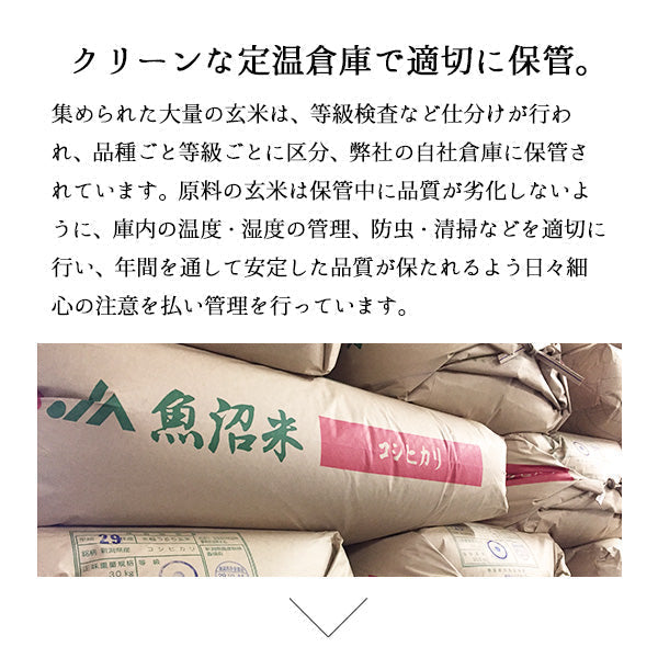 【タイムセール】10kg こしいぶき お米 5kg×2袋 新潟県産（本州：送料無料）