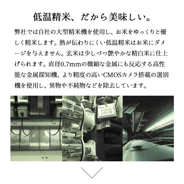 【限定50セット特別価格】新米 10kg こしいぶき お米 5kg×2袋 新潟県産