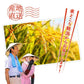 【限定20セット特別価格】新米 10kg 新潟県産コシヒカリ お米 5kg×2袋