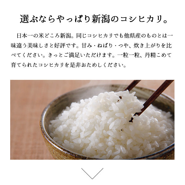 10kg 新潟県産コシヒカリ お米 5kg×2袋