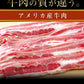 新牛めしの具(プレミアム仕様)２０個【牛丼の具】