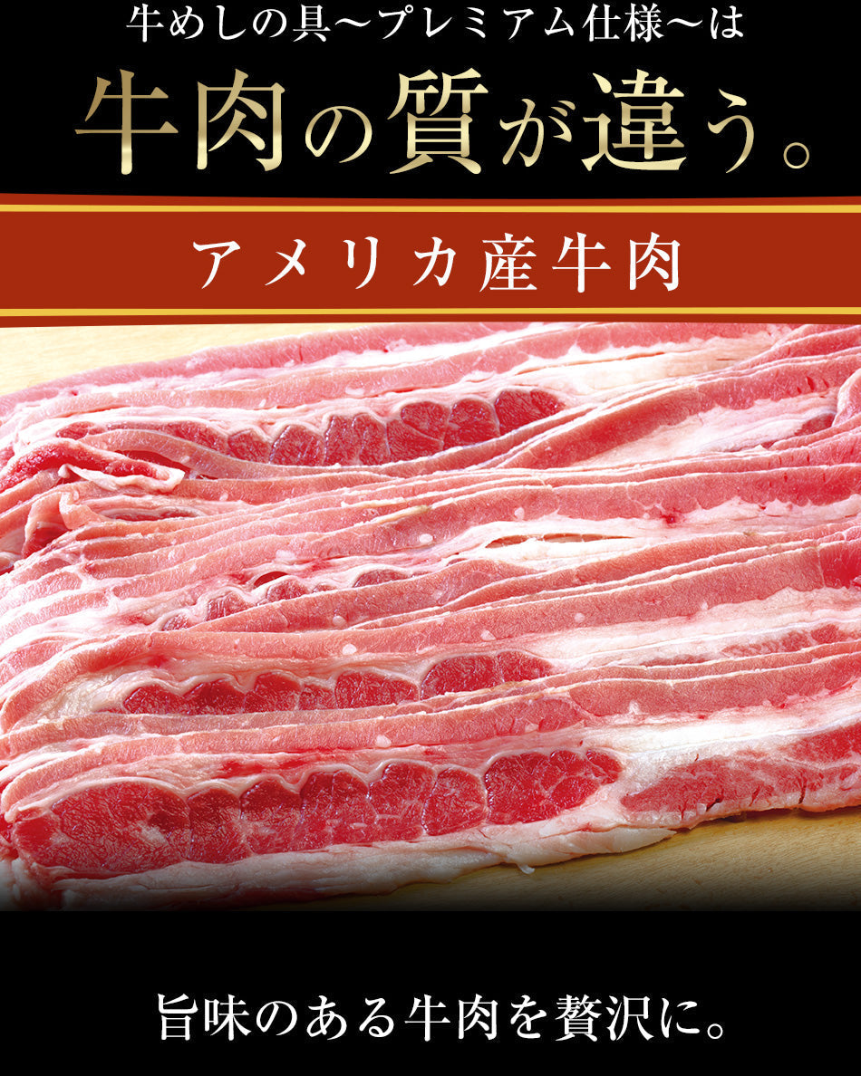 【20人シェア買いでお得】牛丼 新牛めしの具(プレミアム仕様)１０個セット