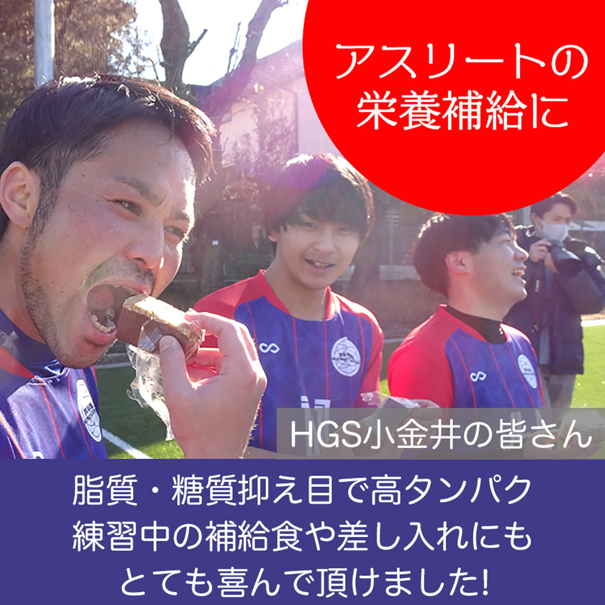 プロテインプラスチーズケーキ６個入
