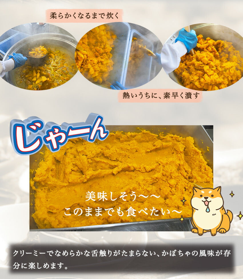 パンプキンサラダ(10パック)