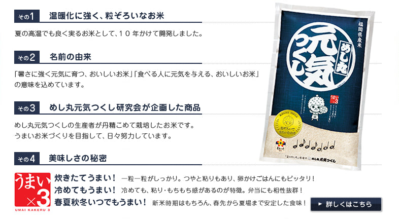 無洗米 10kg 送料無料 九州産　福岡県産「元気つくし」5kg2個(10kg)福岡の自信作。金のめし丸。九州産 米　令和３年産
