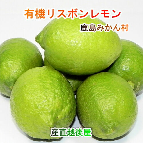 【フルーツ レモン 有機リスボンレモン】佐賀県 鹿島市 有機みかん佐藤農場有機栽培 リスボンレモン 5kg 採りたてを農園から産地直送 送料無料【ミカン 果実 ギフト 無農薬栽培】