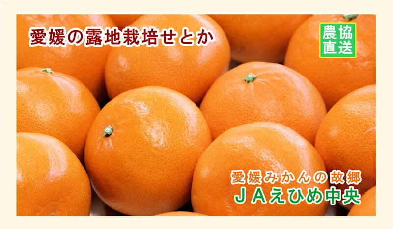 【みかん せとか 愛媛県 送料無料】愛媛県の農協 JAえひめ中央 愛媛の露地栽培せとか 5kg農協産地直送便でお届け【ギフト 贈り物 プレゼント】