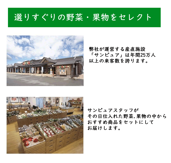 【道の駅ランキング2位のサンピュアで大人気】 おまかせ 野菜セット 送料無料※一部地域は別途送料追加