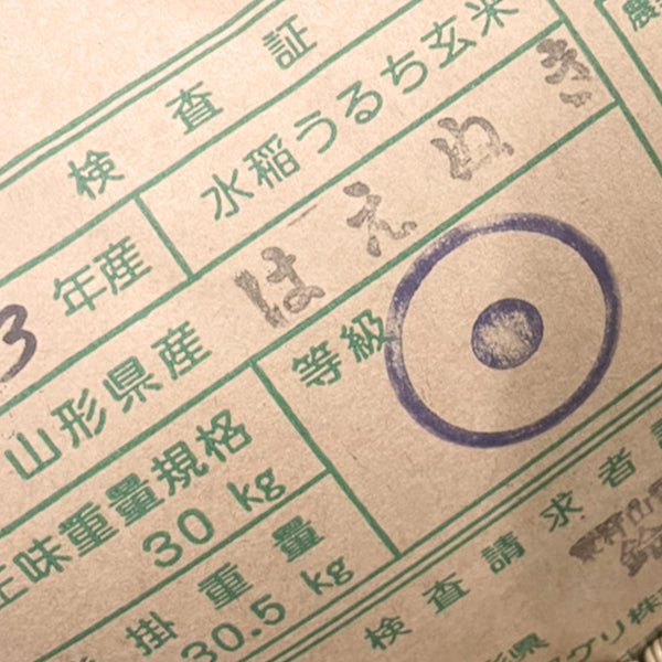 米 10kg 山形産はえぬき 令和3年産 お米 10キロ（本州：送料無料）【リピート】