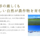 【2/28までに発送予定】【ご新規さんとシェア買い】訳あり 果物 ラフランス 山形県産 約5kg(玉数おまかせ) 送料無料 一部地域は別途送料追加 フルーツ rf21