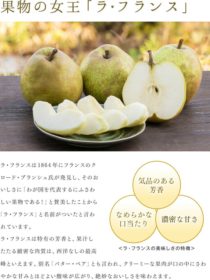 予約商品 ギフト 送料無料 ギフト 送料無料 山形県天童市 洋梨 スーパーラフランス約3kg(4Ｌ〜2L・8〜10玉入り) のし対応 お年賀 ※一部地域は別途送料追加 rf15