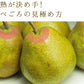 【訳あり】山形県産洋梨ゴールドラフランス約5kg(玉数おまかせ)【送料無料】※北海道・九州・沖縄・一部離島を除く