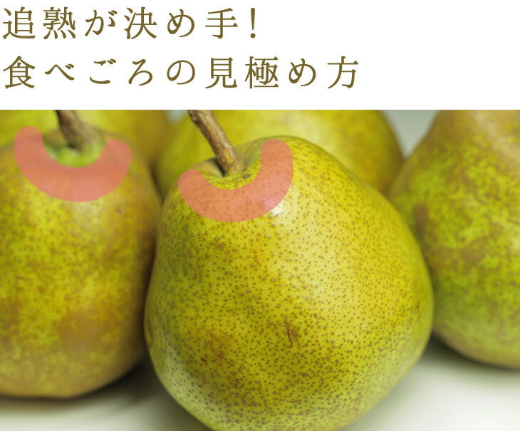 ギフト 送料無料山形県天童産洋梨スーパーラフランス約5kg(2L〜4L・16〜18玉入り)【のし対応】【お年賀】【送料無料】※九州・沖縄・一部離島を除く rf16