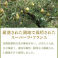 果物 ギフト 送料無料 山形県天童市 洋梨 スーパーラフランス 約2.5kg(2L〜3L・7〜8玉入り) のし対応 お歳暮 ※九州・沖縄・一部離島を除く n14
