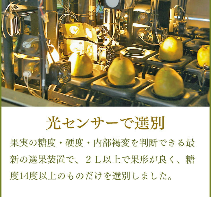 ギフト 送料無料 ギフト 送料無料 山形県天童市 洋梨 スーパーラフランス約3kg(4Ｌ〜2L・8〜10玉入り) のし対応 お年賀 ※一部地域は別途送料追加 rf15