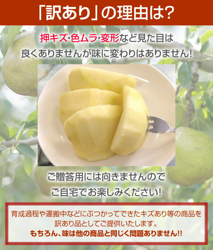 【訳ありお買い得品】山形県産西洋梨バラード約3kg(8-12玉)【送料無料】※一部地域は別途送料追加