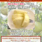 【訳ありお買い得品★西洋梨】山形県産ゼネラルレクラーク約3kg(玉数おまかせ)【送料無料】※一部地域は別途送料追加