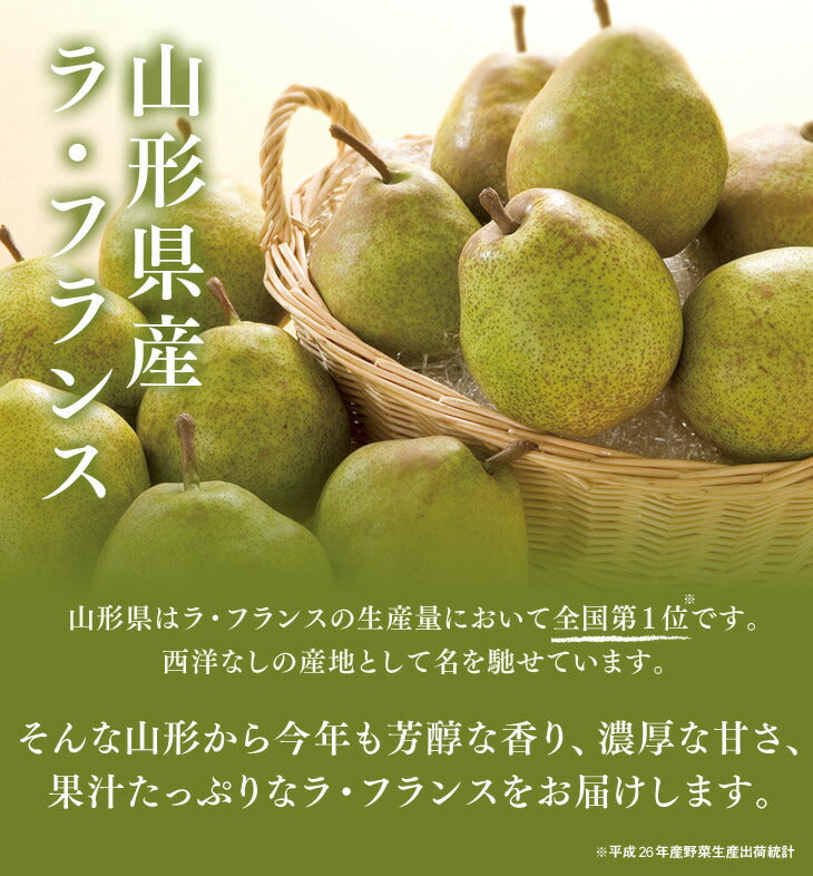 訳あり 果物 ラフランス 山形県産 約5kg(玉数おまかせ) 送料無料 一部地域は別途送料追加 フルーツ rf21【特産品・ご当地特集】