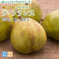 ギフト 送料無料 山形県産洋梨ラフランス約5kg のし対応 お歳暮 ※九州・沖縄・一部離島を除く rf20