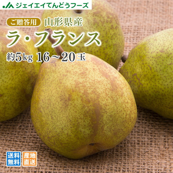 ギフト 送料無料 山形県産洋梨ラフランス約5kg のし対応 お歳暮 お年賀 ギフト ※九州・沖縄・一部離島を除く rf20
