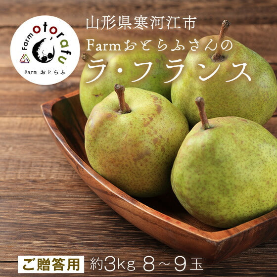 お歳暮 御歳暮 ギフト 送料無料 山形県寒河江産 洋梨ラフランス約3kg(8〜9玉) のし対応 お歳暮 ※九州・沖縄・一部離島を除く
